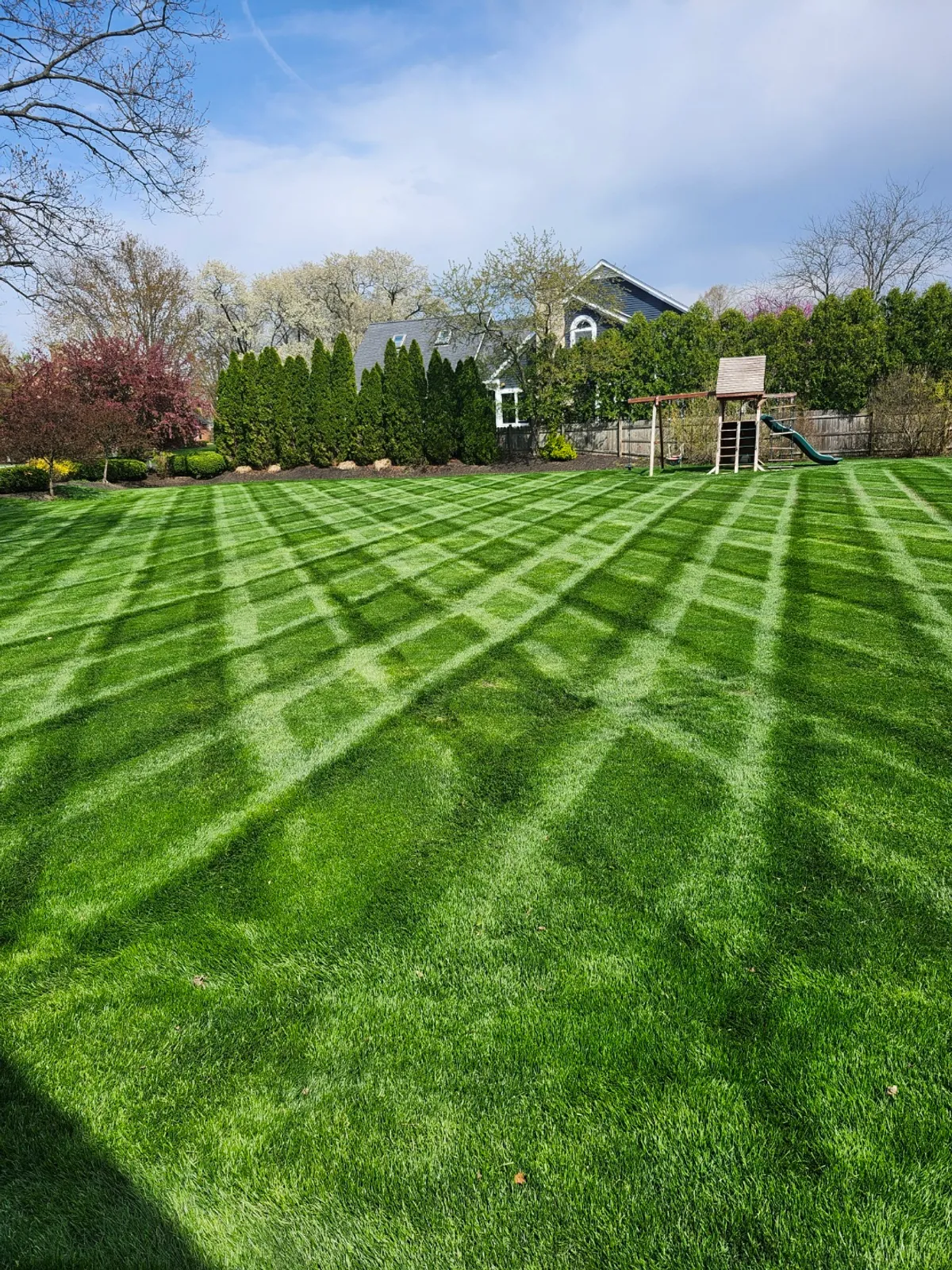 Professional lawn maintenance services